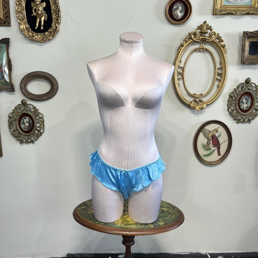 Delicates Women's Large Blue Ruffle Satin Bikini Panty